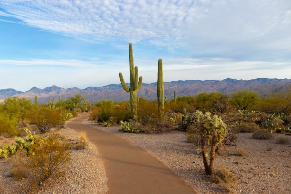 Celebrities that live in Arizona