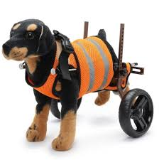 Dog Wheelchairs For Disabled Dogs - Pet Products B2B Marketplace