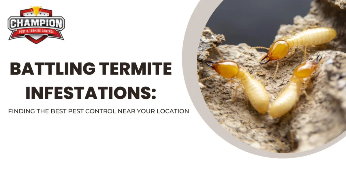 Battling Termite Infestations Finding the Best Pest Control Near Your Location.jpg