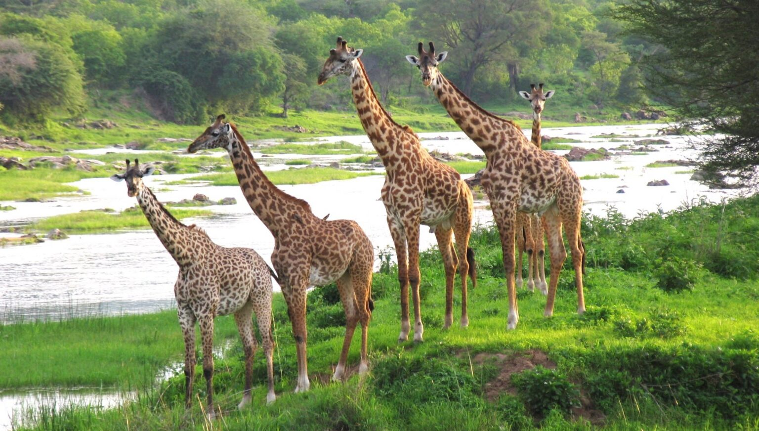 clothing for safari in kenya