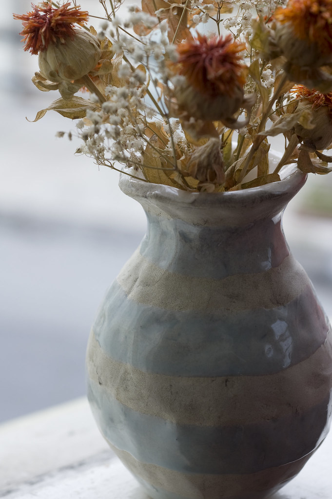 Rae Dunn Net Worth: Crafting Success in Home Decor - Urban Splatter