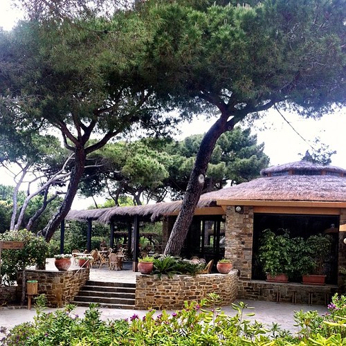 Carlo Ponti Net Worth: Unraveling His Legacy and Wealth - Urban Splatter